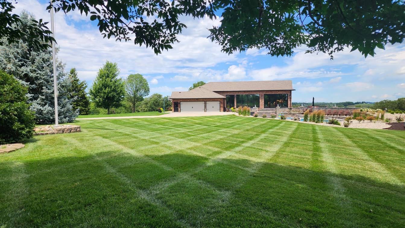Sharp Blades Lawn Care work photo